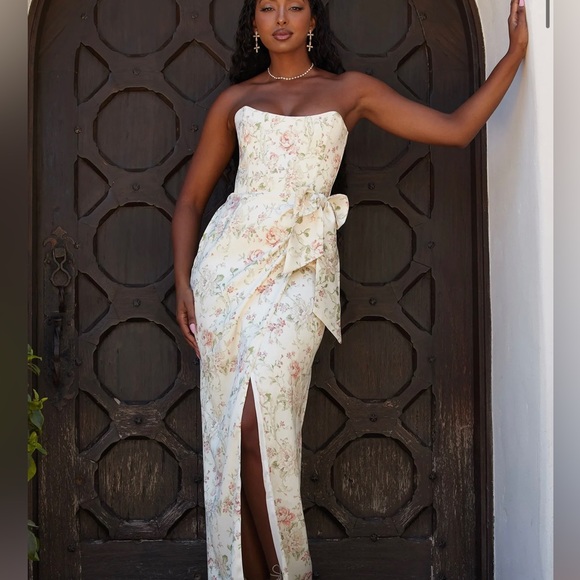 V.Chapman dress in the style June dress in Carmel valley rose size 8. - Picture 4 of 8